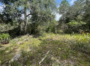 SW 146th Pl, Ocala, FL 34473