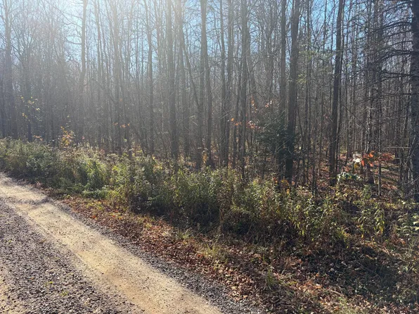 On Pine Creek Rd, Park Falls, WI 54552