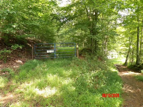 941 Sammy Run Rd, Walkersville, WV 26447