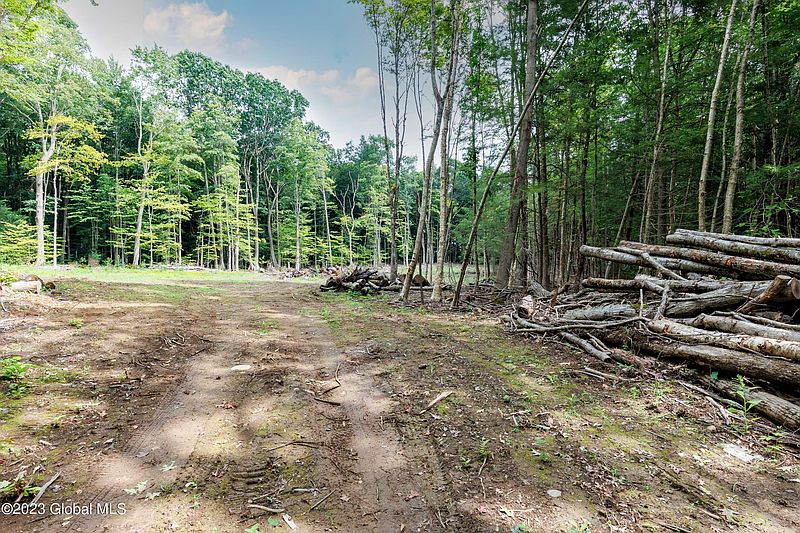 5th image of L55 Nys Rt 29