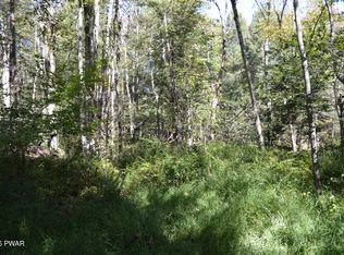 113 Snow Drift Rd, Newfoundland, PA 18445