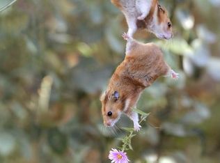 131 Hilldale Rd, Lansdowne, PA 19050