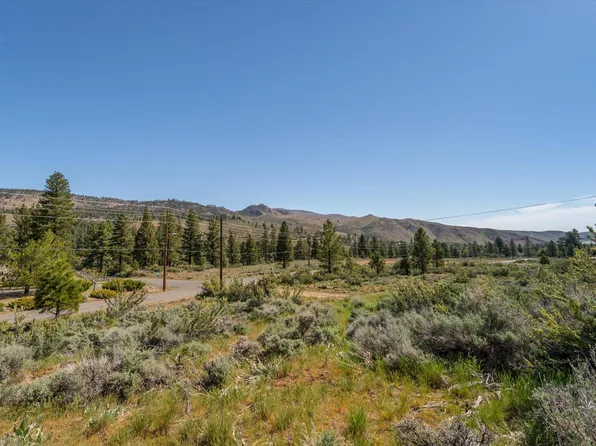 Dog Valley Rd, Floriston, CA 96111