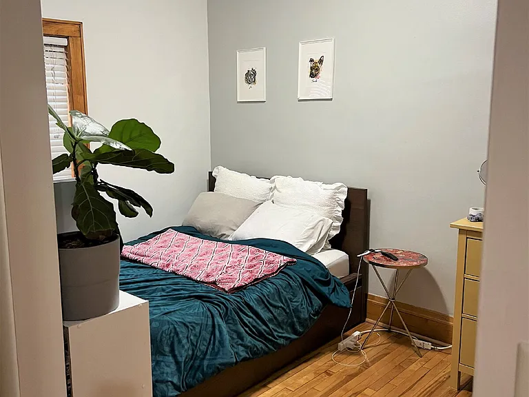 220 Marshall Ave #5 — Photo 10