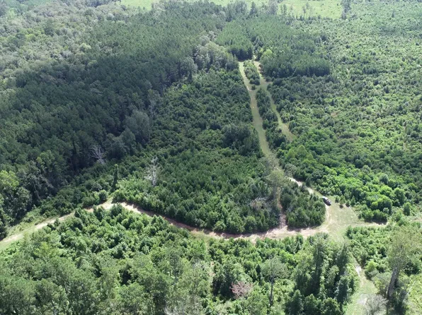 State Highway 63 E, Burkeville, TX 75932