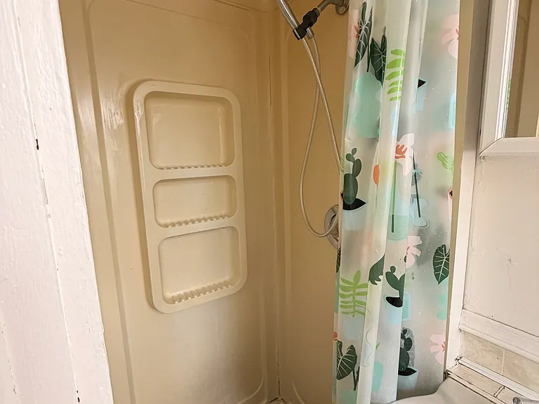 206 Avondale Ave #3 — Photo 10