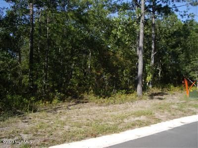 463 Shiloh Lane SE, Bolivia, NC, 28422