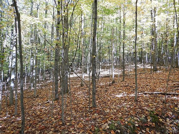 5th image of Phillips Rd