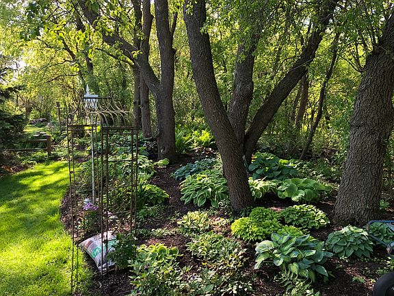 Your backyard 