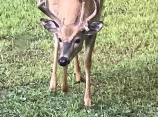 7300 Klein Rd, Hillman, MI 49746