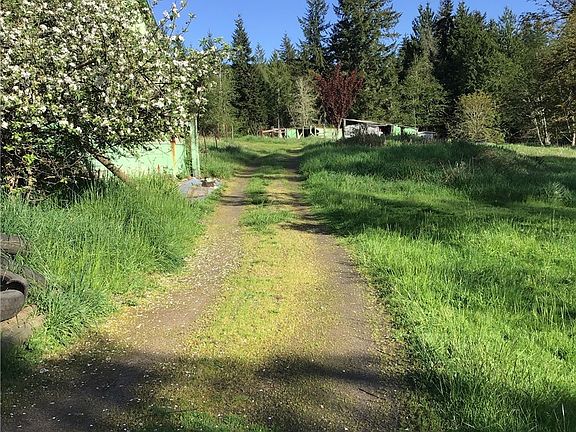 Build your dream cabin in rural area of Lewis County. 