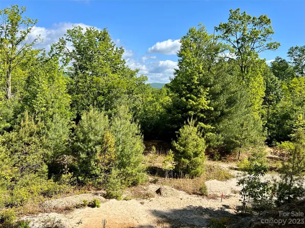LOT 3A Forest Park Rd, Pisgah Forest, NC 28768