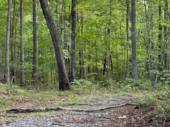 721 Big Piney Loop, Wilder, TN 38589