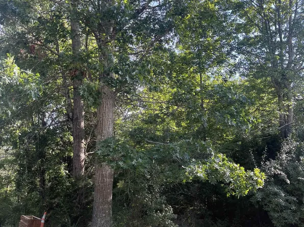 78 Idlewild Hollyleaf Rd, Bradford, TN 38316