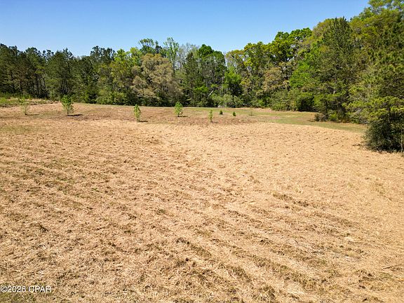 5th image of River Rd