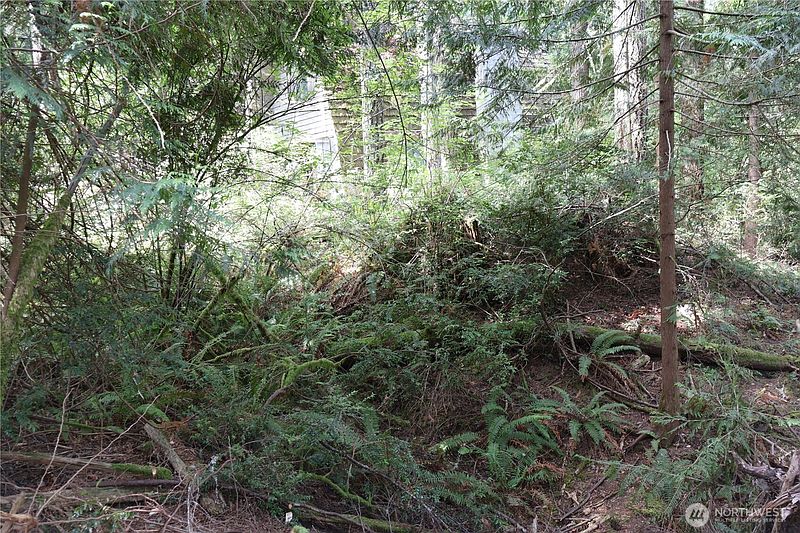 4th image of 3659 Green Mountain Road NW