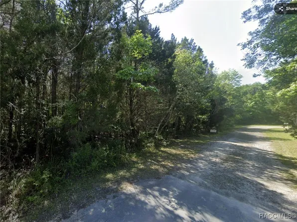 8696 W Faust Ln, Homosassa, FL 34448