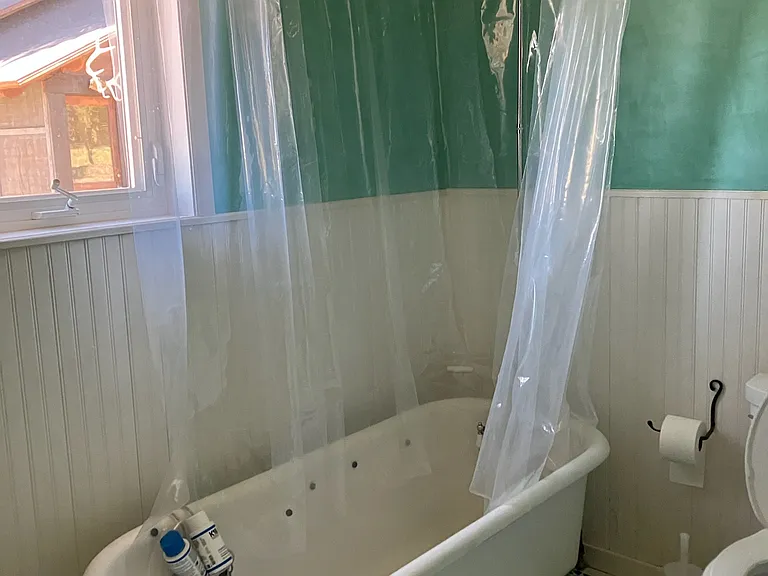 clawfoot tub shower