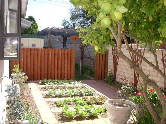 Beautiful side yard Rose & Vegetable garden.