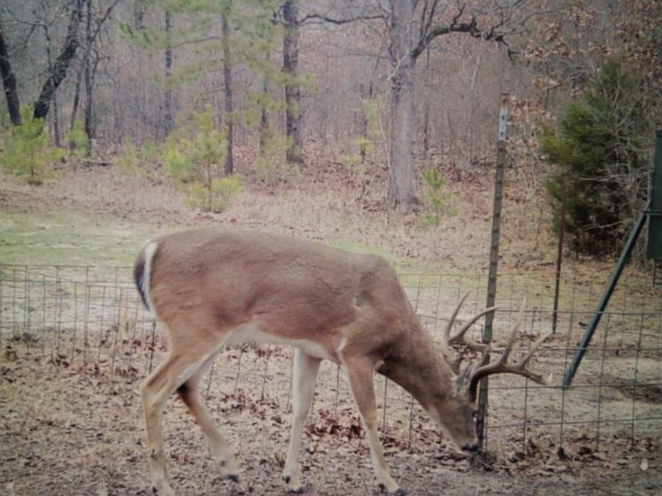 1st image of Pushmataha County Rd