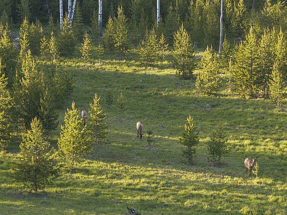 86th image of this home