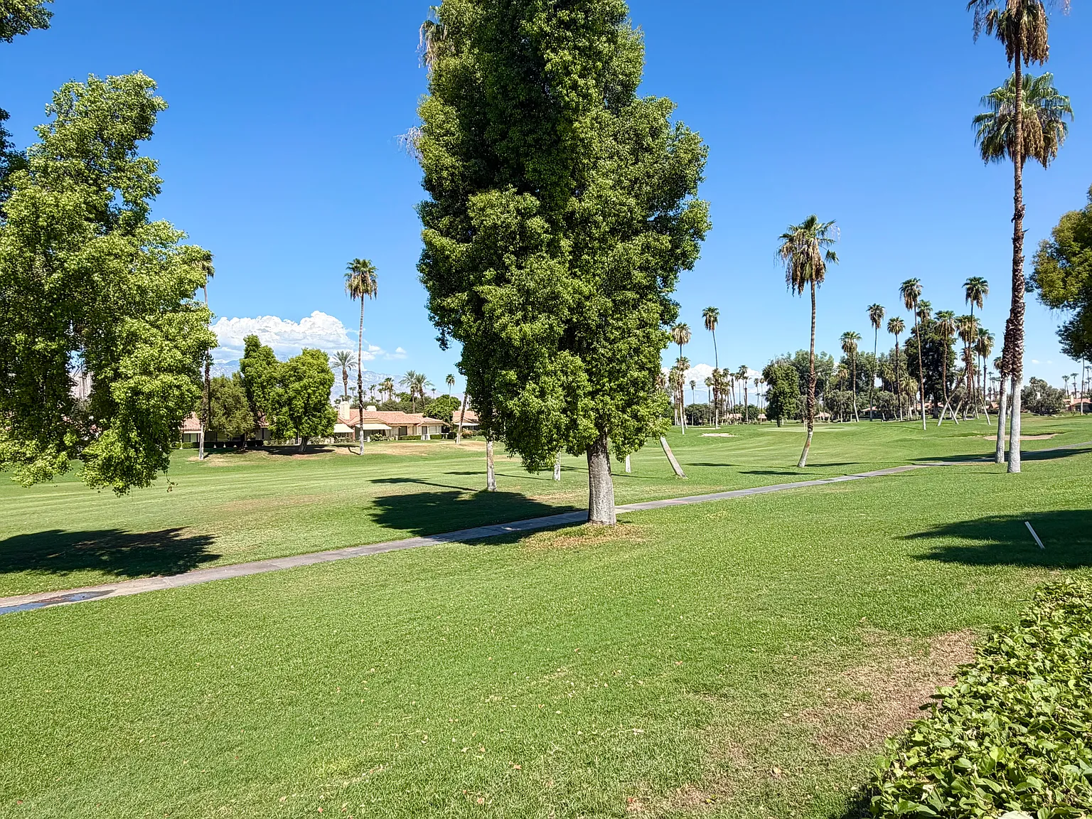 2 bed, 1303 sqft, $6,000 — Photo 3