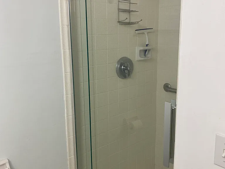 Master Shower