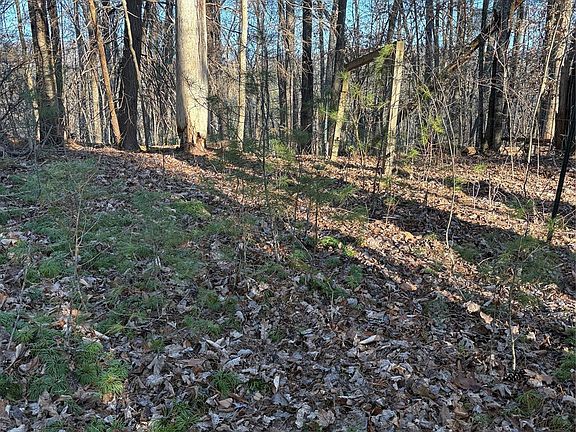5th image of 242 Area Radford Rd #1-3