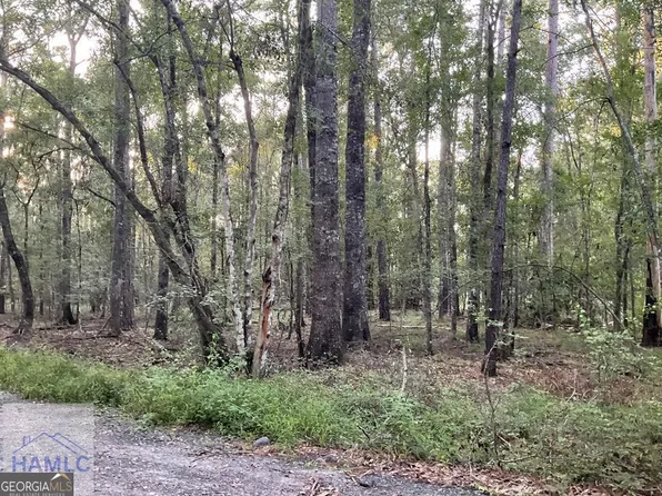 0 Cherry Ln, Fleming, GA 31309