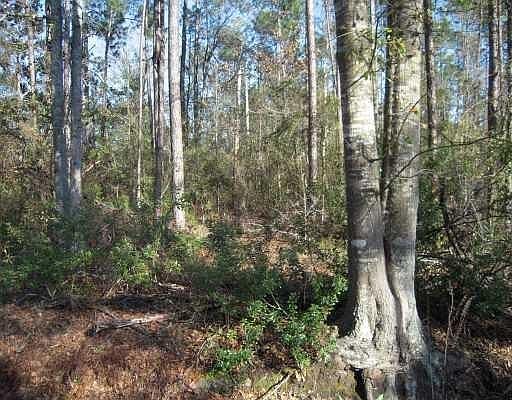 2nd image of Hickory St