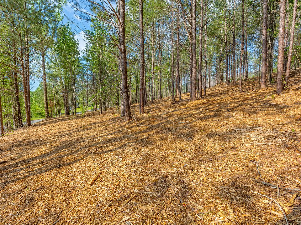 1st image of 19 Turkey Run