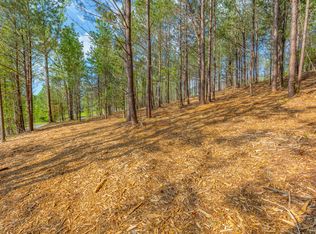 19 Turkey Run, Flintstone, GA 30725