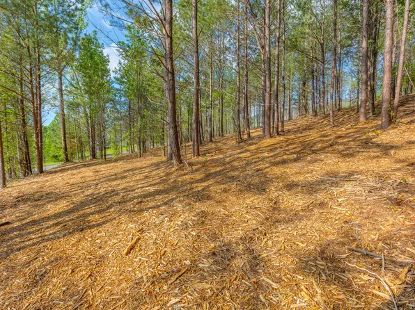 19 Turkey Run, Flintstone, GA 30725