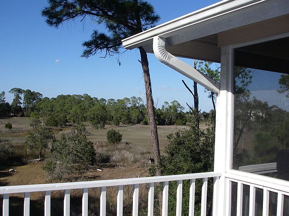 Marsh View