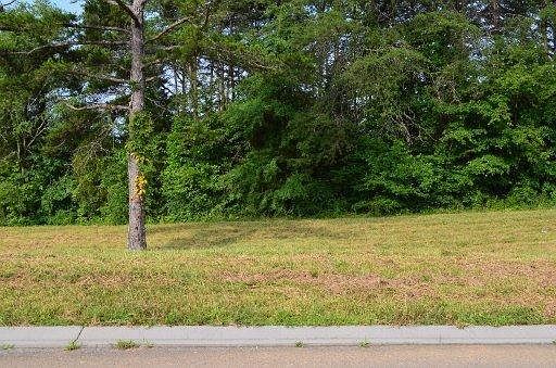 4th image of 12429 Palm Beach Way