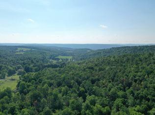 166 Dorr Edson Rd, Oneonta, NY 13820