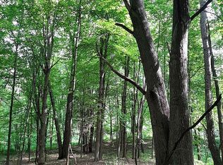 4179 Honey Creek Ave NE, Ada, MI 49301