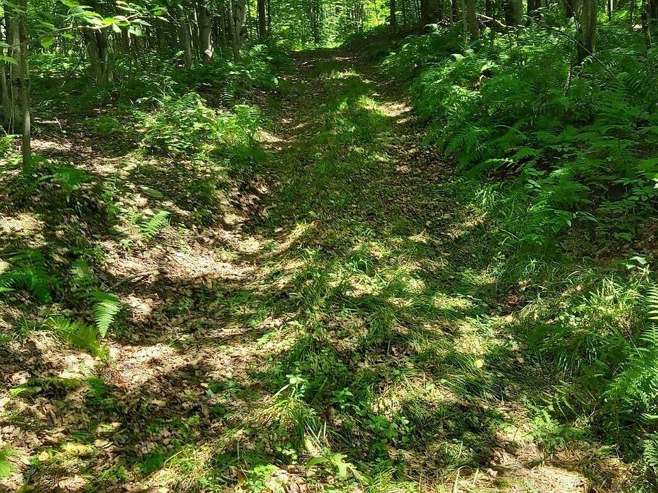 2nd image of Dryden Rd