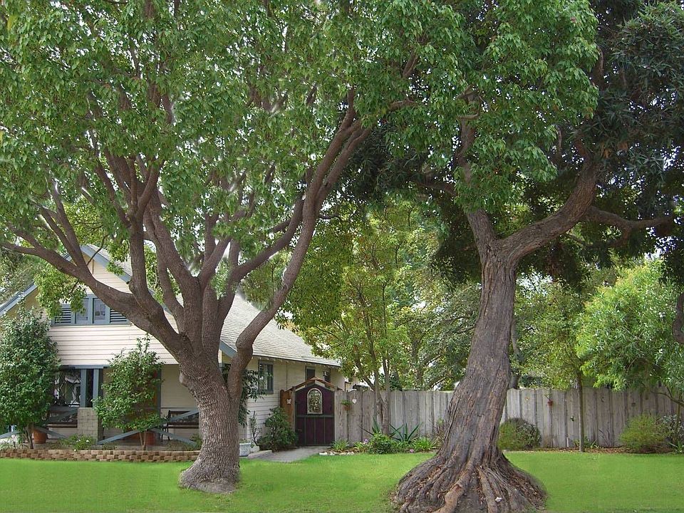 Best Street in CM! ! ! 