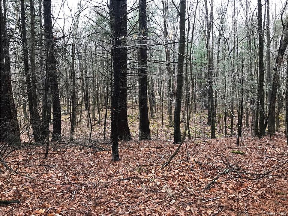 2nd image of 87 Susan Ln