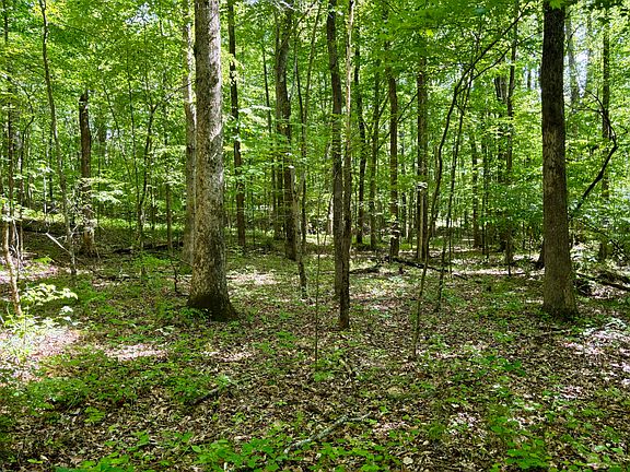 5th image of 0 Lester Rd