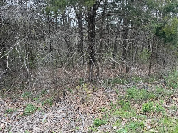 002 Holiday Hills Drive, Cape Fair, MO 65624