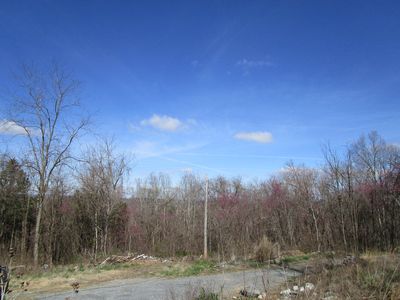 143 Free Hill Rd, Gray, TN, 37615
