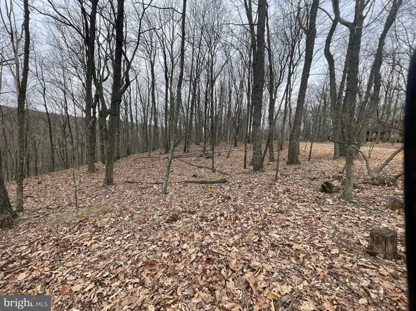 125 Spring Mountain Dr, Zion Grove, PA 17985