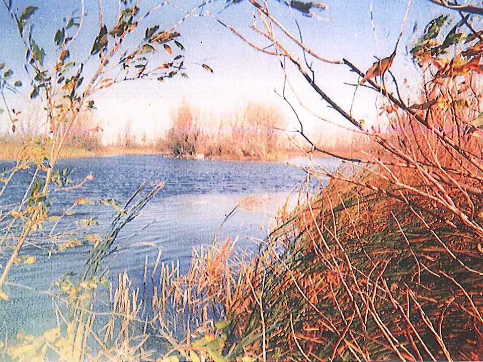 1st image of 2 L1b1 Natures View Est
