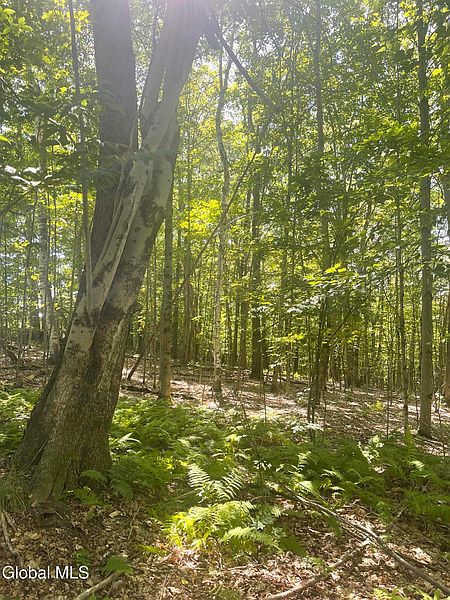 5th image of L4.15 Ny 22