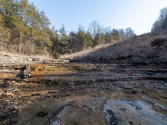 101st image of this home