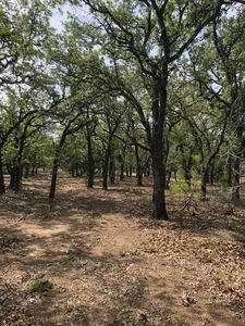 10645 County Road 479, Baird, TX, 79504