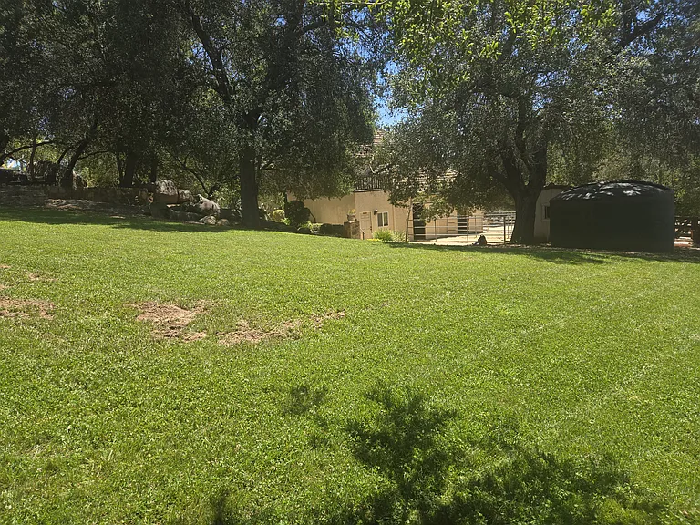 41565 Avenida Conchita — Photo 42