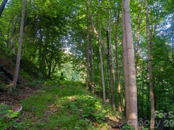 0 Ragans Pointe #58, Columbus, NC 28722